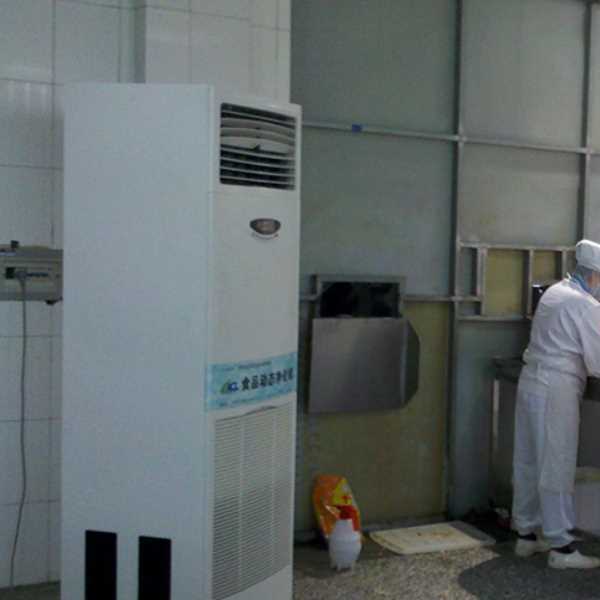 福建食品正负离子空气杀菌器